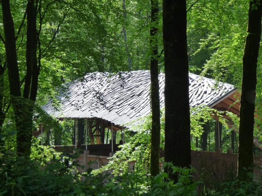 Novelist Shepherd'S Hut Beaminster Exterior photo